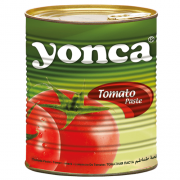 Tomotoes-paste3