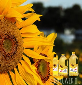 Sunflower Oil